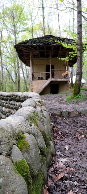 Une maison de village dans la forêt