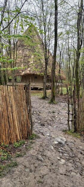 Photo une maison de village dans la forêt