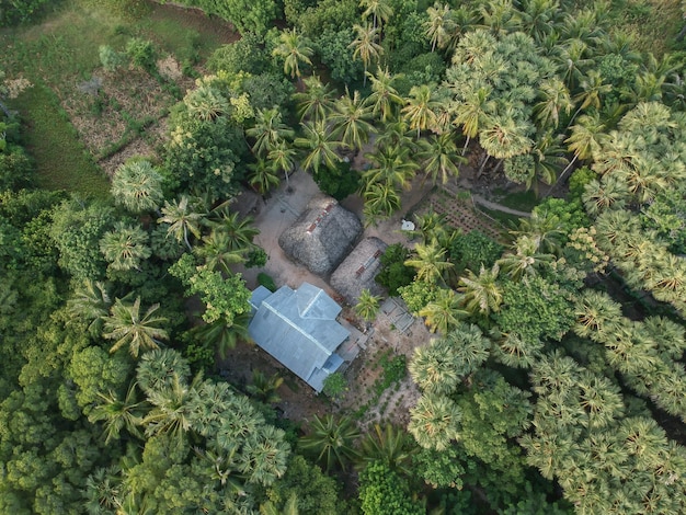 Maison vue aérienne au milieu de la forêt