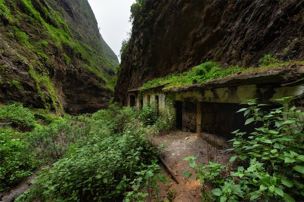 Maisons abandonnées dans la forêt tropicale Canyon de Badajoz Barranco de Badajoz Tenerife