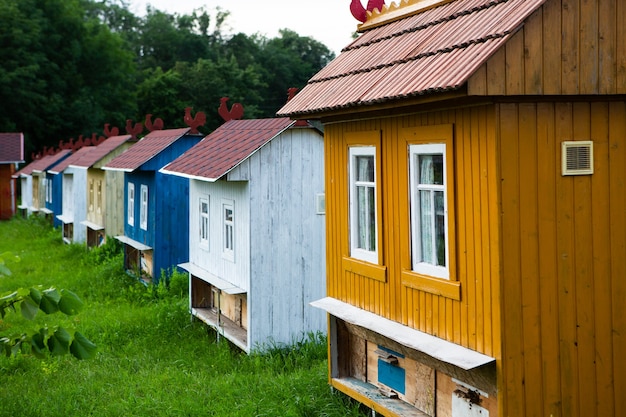 Maisons d'abeilles colorées sur un pré vert en campagne