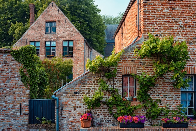 Maisons anciennes du béguinage de begijnhof avec des fleurs à bruges en belgique