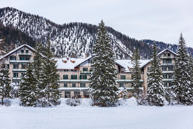 Des maisons et des arbres couverts de neige contre le ciel