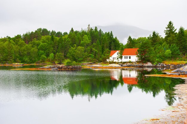 Maisons et arbres verts sur la rive du lac en matin brumeux, Norvège