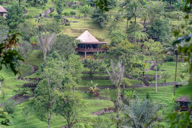 Maisons balinaises avec vue sur la forêt tropicale et la montagne Bali Indonésie