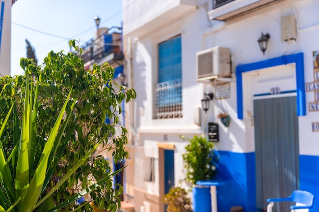 Maisons blanches dans le quartier de Santa Cruz à Alicante Maisons méditerranéennes Valence