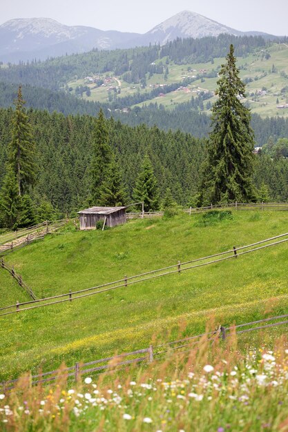 Maisons en bois sur des collines herbeuses