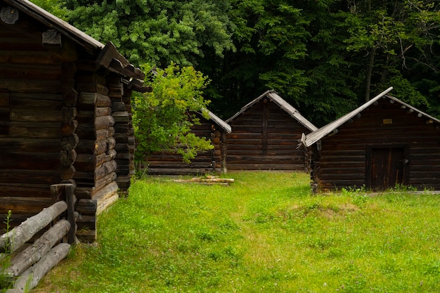 Maisons en bois dans la forêt pour les touristes