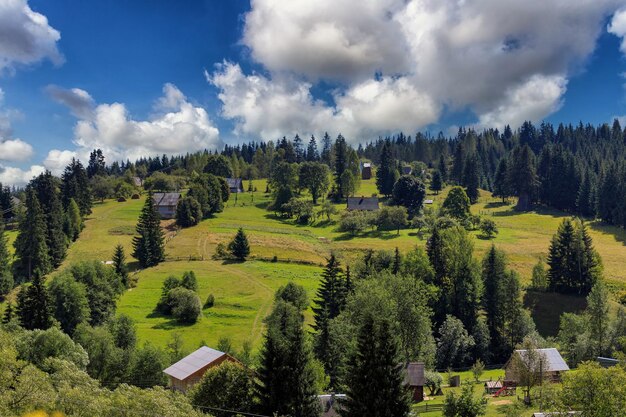 Maisons en bois dans les montagnes parmi la forêt sur une pente nuages et ciel bleu