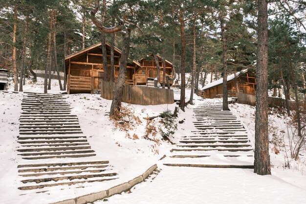 maisons en bois dans la neige