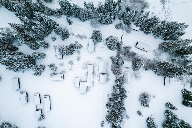 Maisons en bois dans le paysage d'hiver Drone View