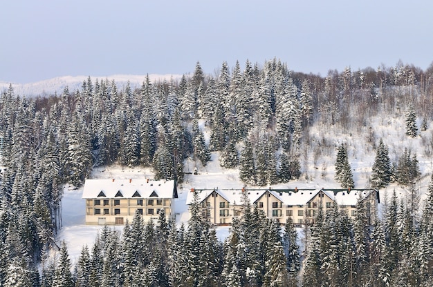 Maisons En Bois Sur Fond De Forêt Enneigée