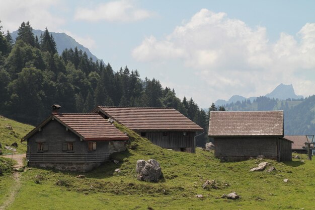 Des maisons sur un champ d'arbres contre le ciel