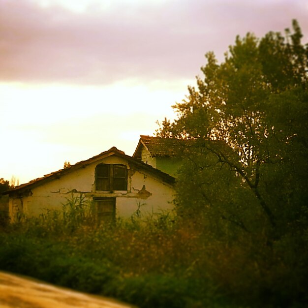 Photo des maisons sur le champ contre le ciel