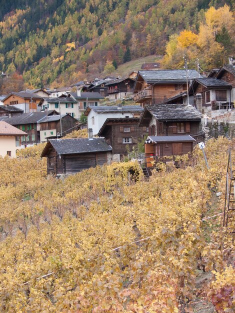 Photo des maisons sur une colline