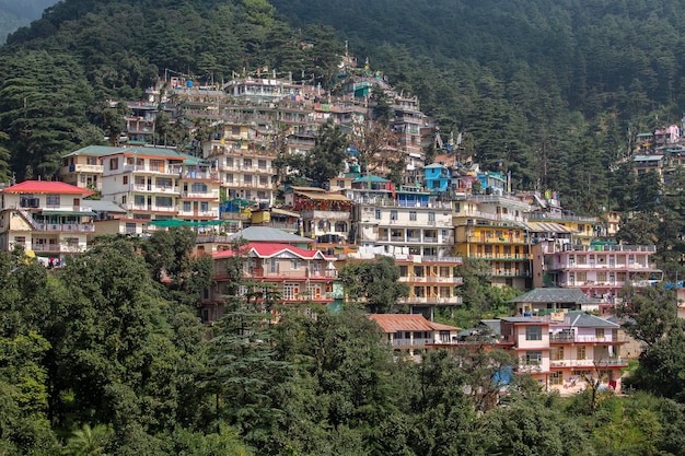 Maisons colorées et une forêt de pins verts dans les montagnes de l'Himalaya à Dharamsala Inde