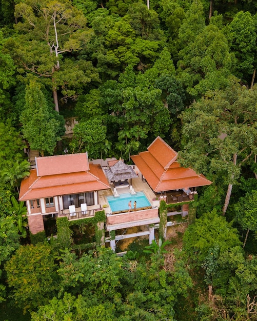 Des maisons dans la forêt