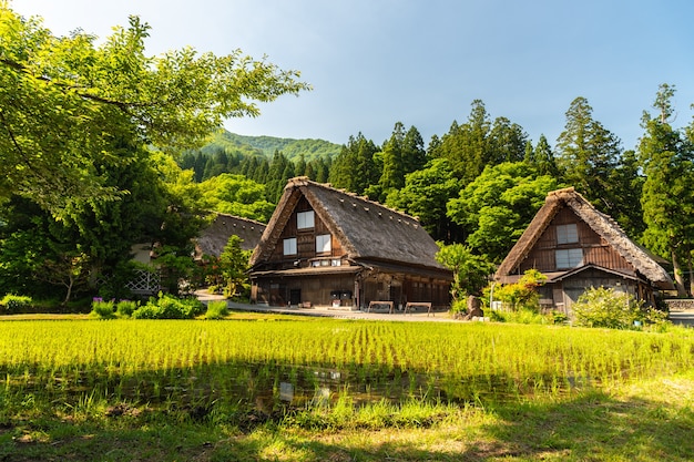 Maisons Gasso à Shirakawa-go, Japon