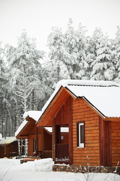 Maisons en hiver forêt neige autour