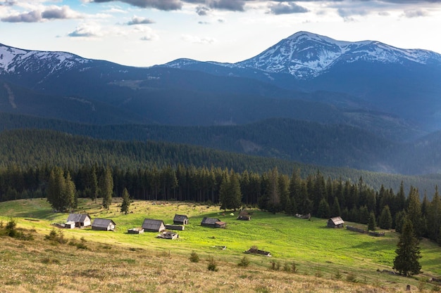 Maisons de montagne en bois dans le pré vert et la forêt devant les sommets enneigés