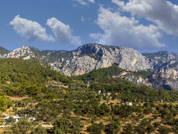 Maisons et paysages de montagne parmi les pins