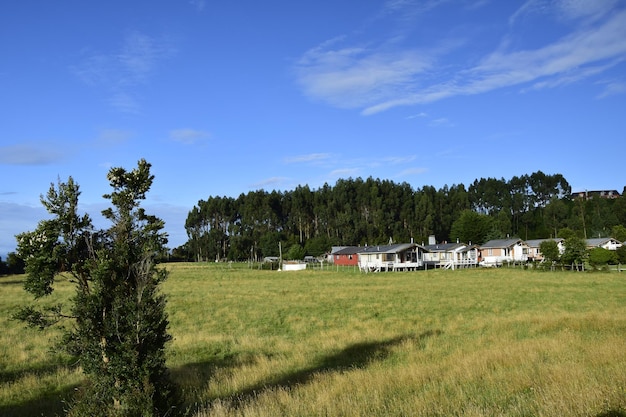 Maisons sur pilotis palafitos dans l'île de Castro Chiloé Patagonie Chili