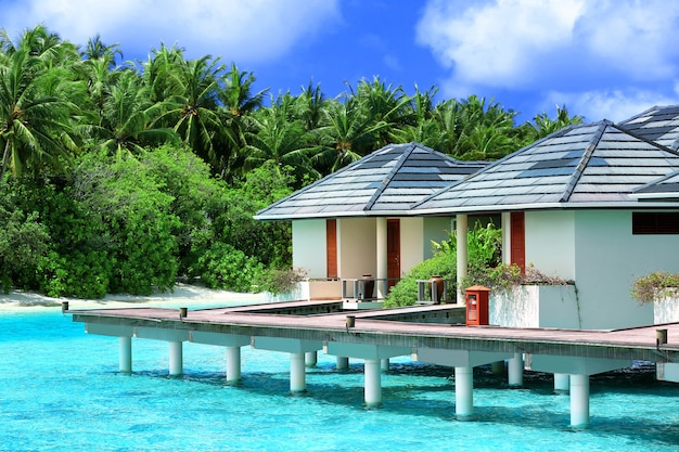 Maisons de plage modernes sur pilotis au complexe tropical