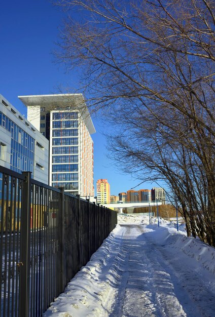 Maisons sur le remblai d'hiver Nouveaux bâtiments modernes sous les branches nues des arbres Novosibirsk