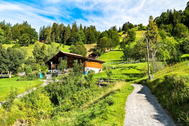 Maisons traditionnelles en bois dans le village de montagne de Wengen Suisse