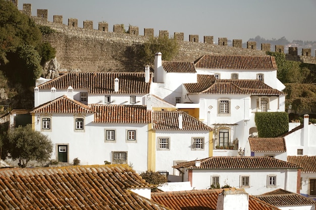 Des maisons en ville contre le ciel
