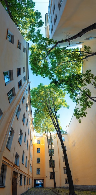 Maisons de la ville de Saint-Pétersbourg