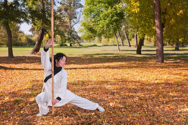 Maître du bâton de kung fu