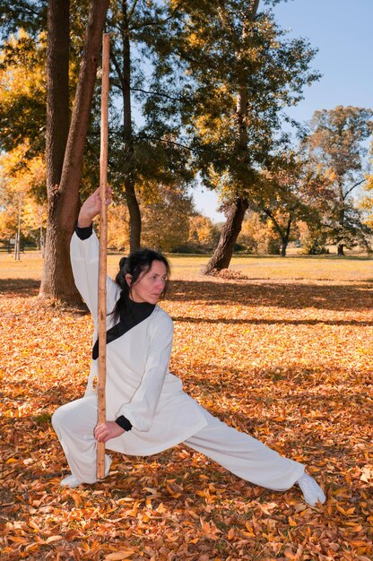 Photo maître de kung fu avec un bâton