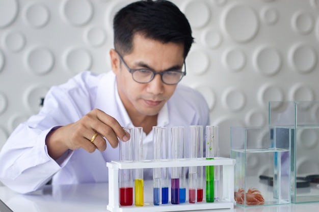 Mâle asiatique médical ou scientifique utilisant le tube à essai de couleur avec le réservoir de poissons