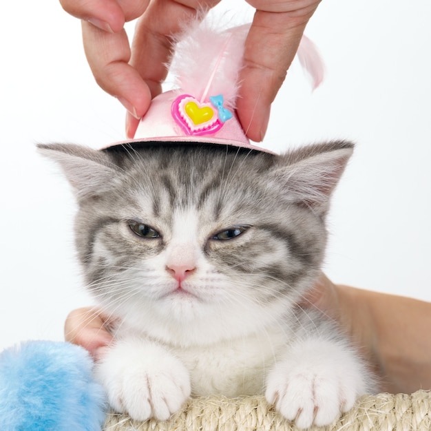 Malheureux avec un chapeau de jouet de chat sur sa tête dans la main de l'homme.