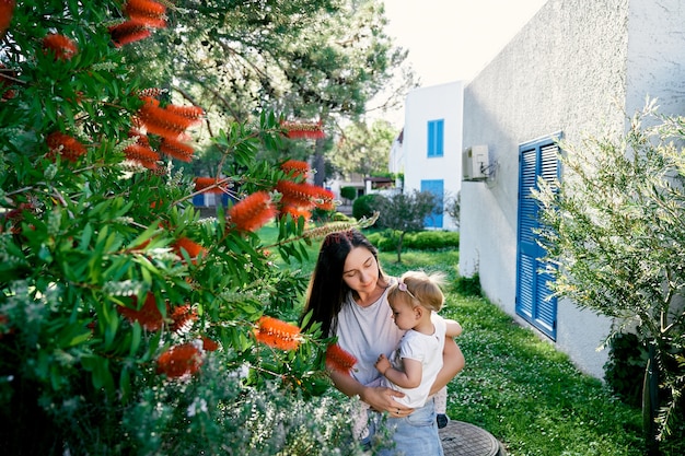 Maman avec une petite fille dans ses bras près d'un buisson de callistemon rouge fleuri