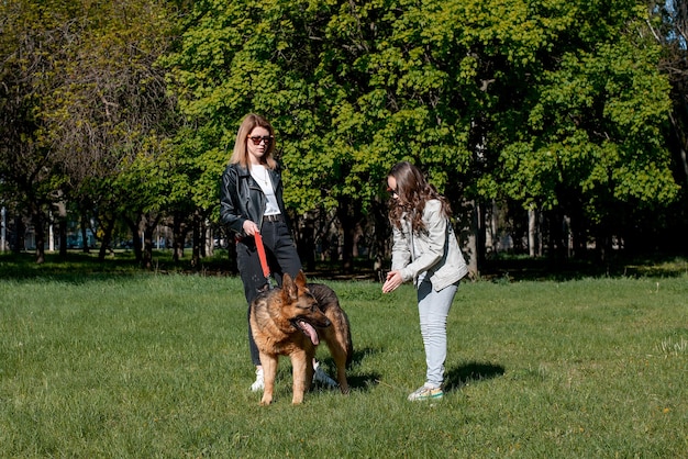 Maman et sa fille se promènent dans le parc avec un chien de race berger allemand soleil d'été