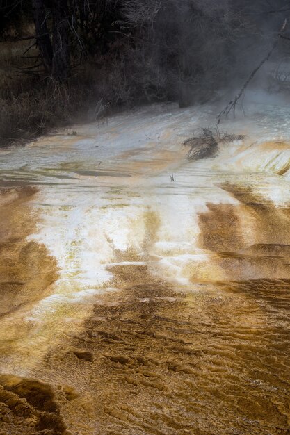 Mammoth Hot Springs dans le parc national de Yellowstone