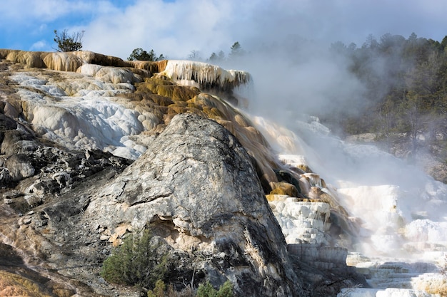 Mammoth Hot Springs