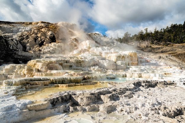 Mammoth Hot Springs