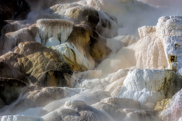 Mammoth Hot Springs