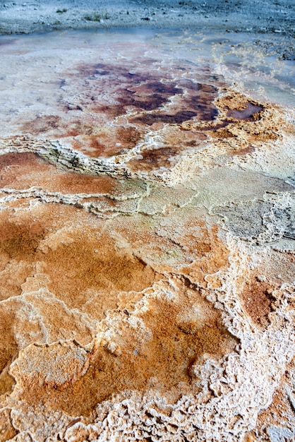 Mammoth Hot Springs