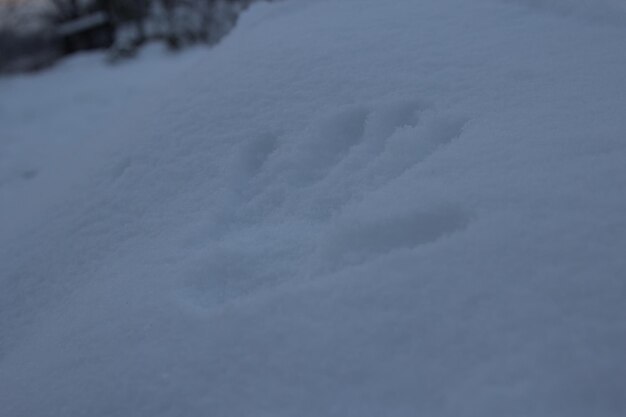 Man39s handprint sur la neige en hiver