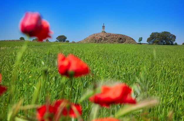 La Mancha Cubillo ruine le chemin Saint-James