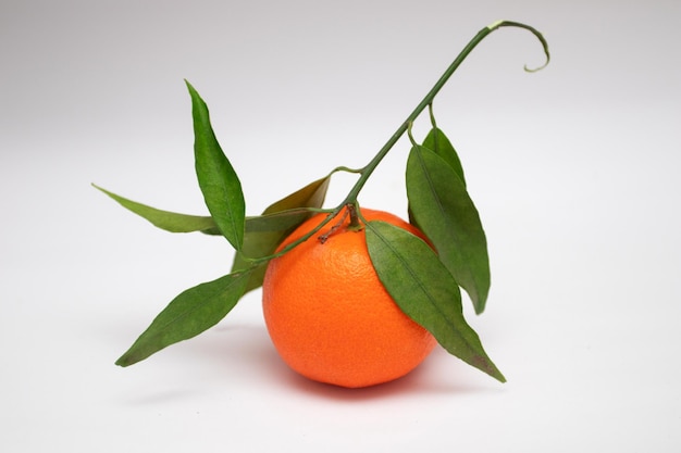 Mandarine avec une brindille avec des feuilles sur fond blanc.