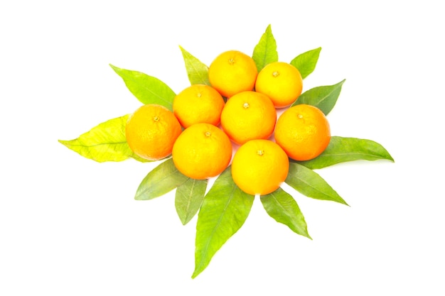 Mandarine avec des feuilles sur une surface blanche. agrumes vitaminés