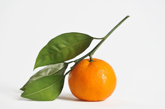 Mandarine avec des feuilles