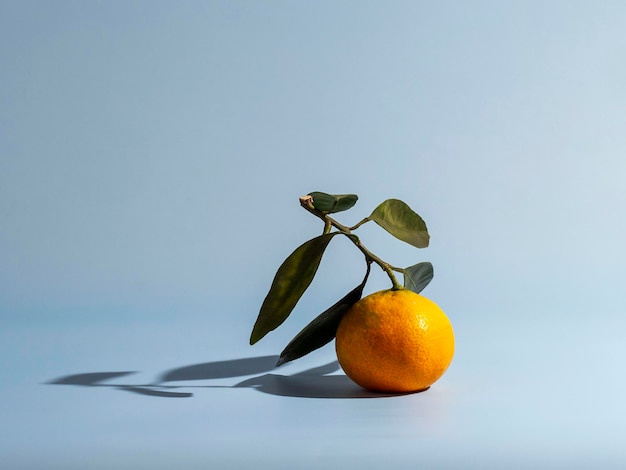 Mandarine sur fond bleu