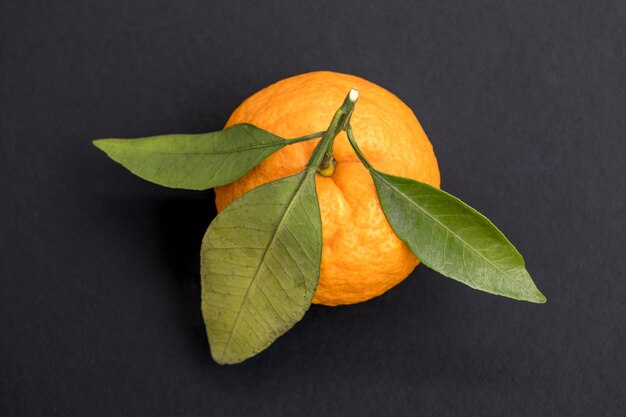 mandarine sur fond noir