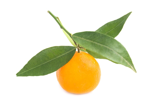 Photo mandarine orange avec feuille verte isolé sur fond blanc